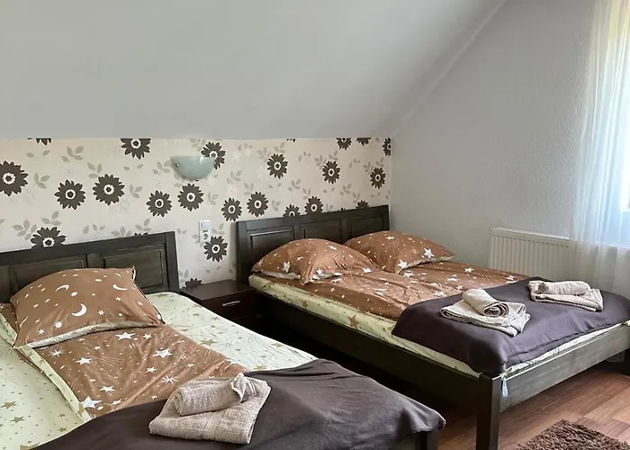 Karina Panzio Bed & Breakfast Sovata