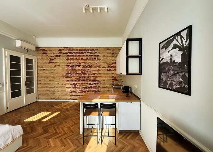Carol Residence - Ultra Central - Powered By Neo Timişoara