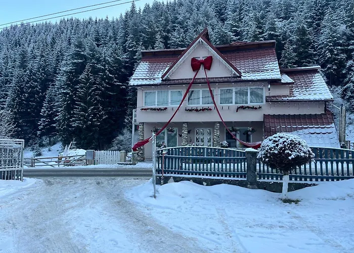 Anelisse Inn Moeciu De Sus