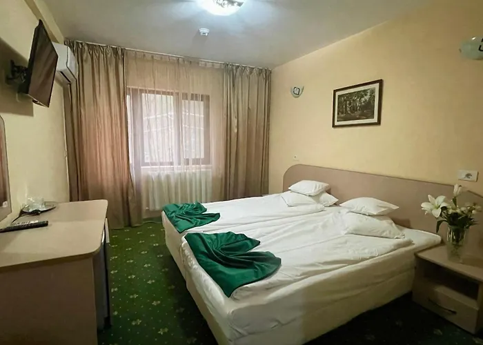 Hotel Sallaris Monteoru Sărata-Monteoru