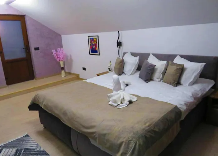 Casa Alex Hotel Topliţa
