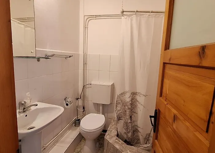Vila Casa Alesiv Cluj-Napoca