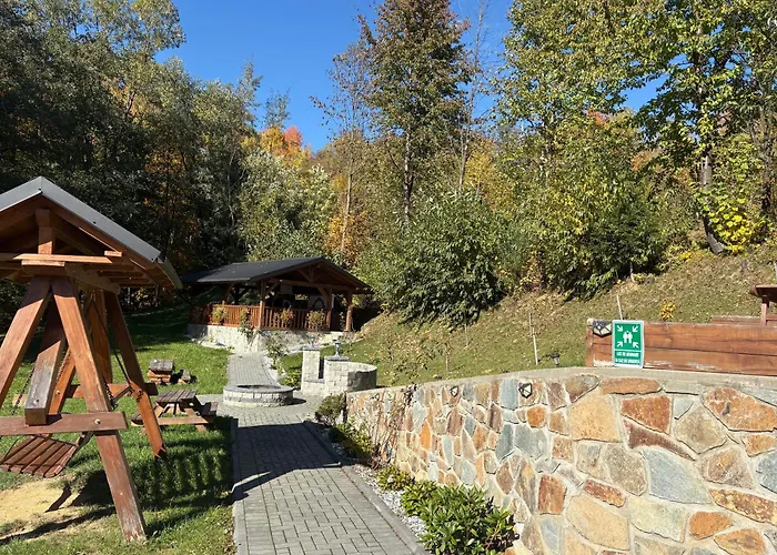 Liniștea Codrului Hotel Borşa