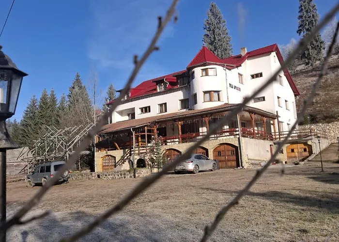 Vila Apuseni Arieşeni