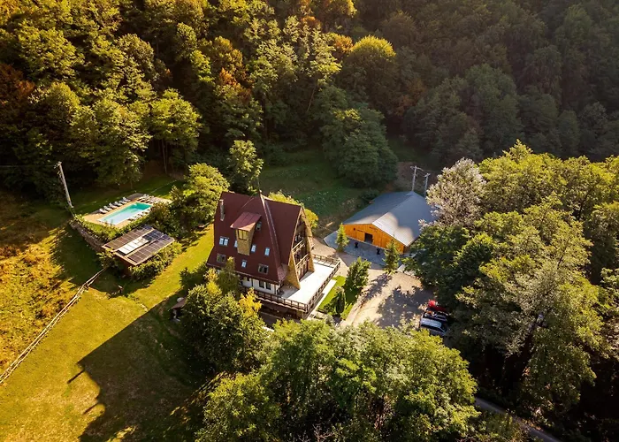 Pension Casa Vanatorilor Băile Olăneşti