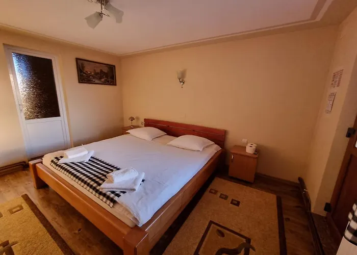Casa Marinca Hotel Ocna Şugatag