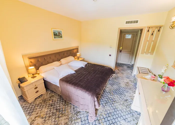 Bucium Motel & Spa Iasi che accetta animali