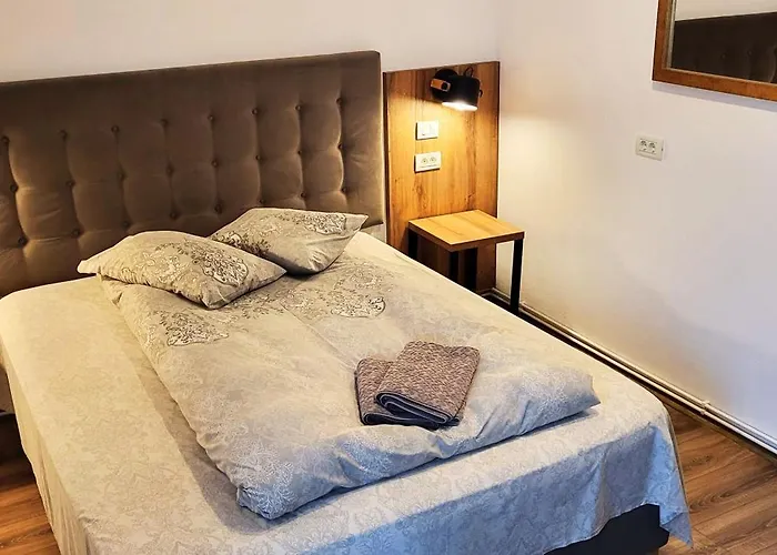 Pension Casa Leone Timişoara