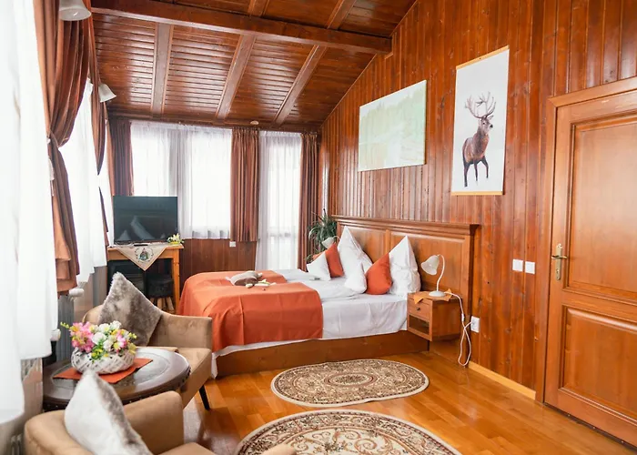 Hoteluri în Cîrţişoara