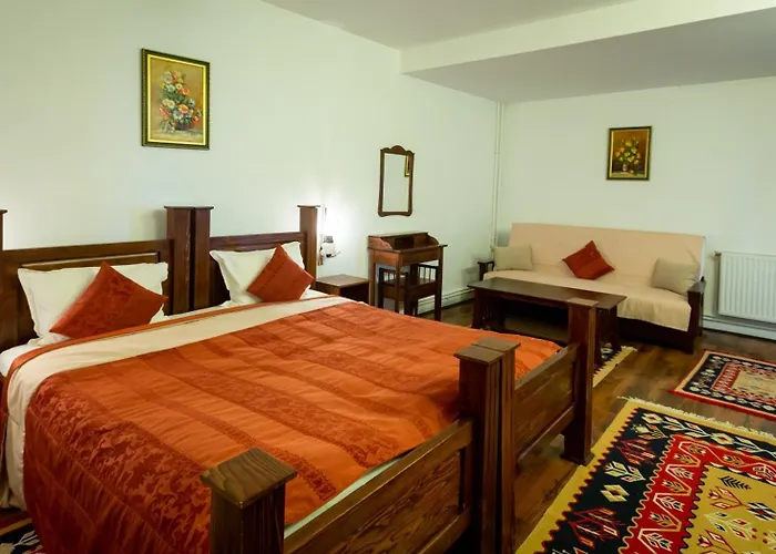 Complex Turistic Moara Dragaicilor Hotel Buzău