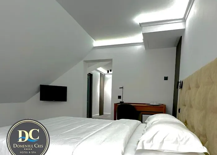 Domeniul CRIS Hotel Vatra Dornei