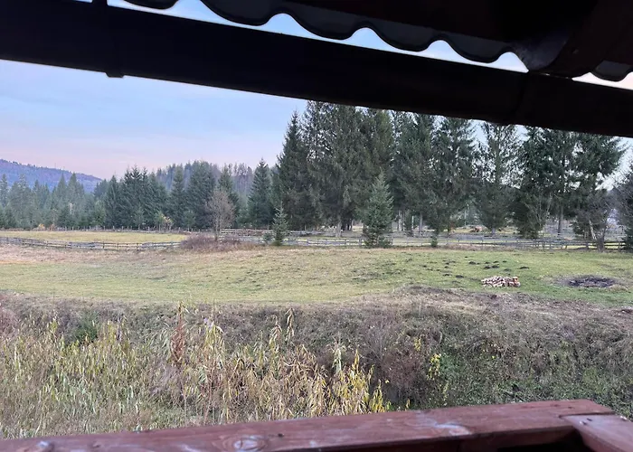 Pensiunea Valea Galbenei Arieşeni