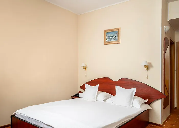 Hoteluri în Tulcea