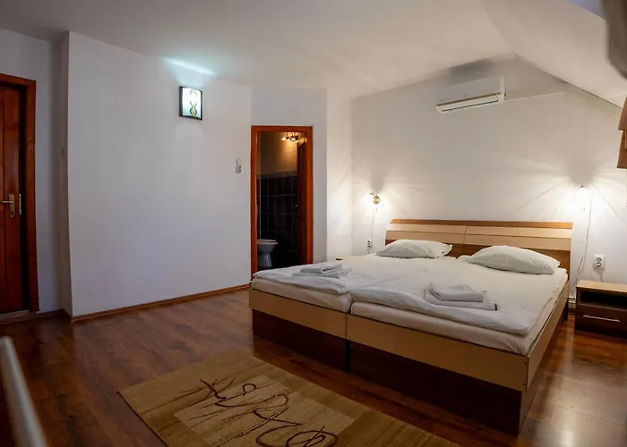 Casa Toma Hotel Sovata