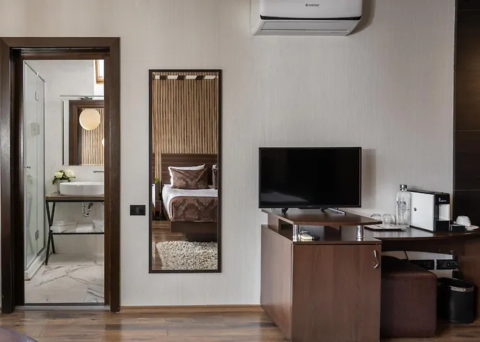 Hoteles Boutique en Braşov