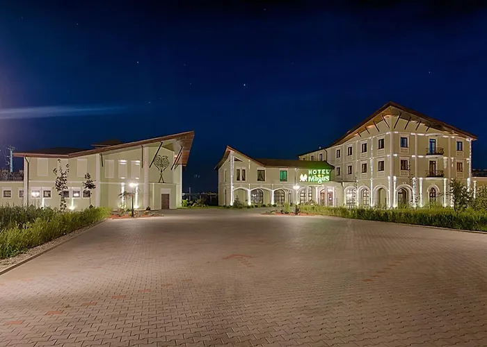 Magus Hotel Baia Mare che accetta animali