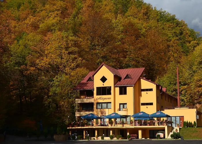 Pensiunea Magura Baia Mare