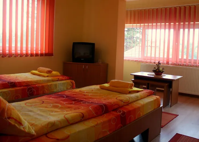 Pensiunea Bobo Panzio Hotel Sfântu-Gheorghe