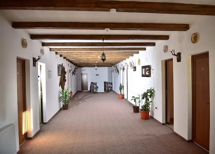 Pensiunea Doli Sighetu Marmaţiei