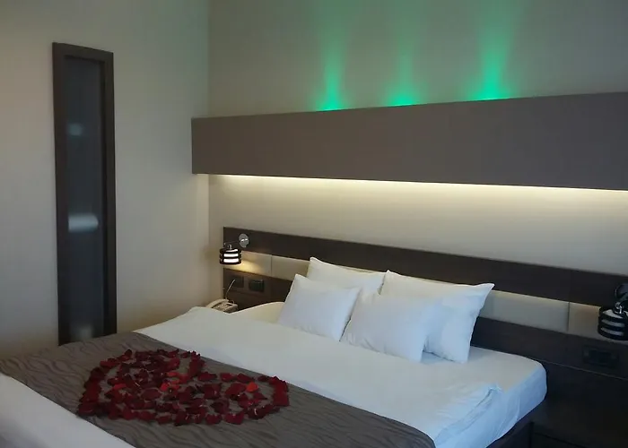 Hotel Scapino Mamaia admite animales