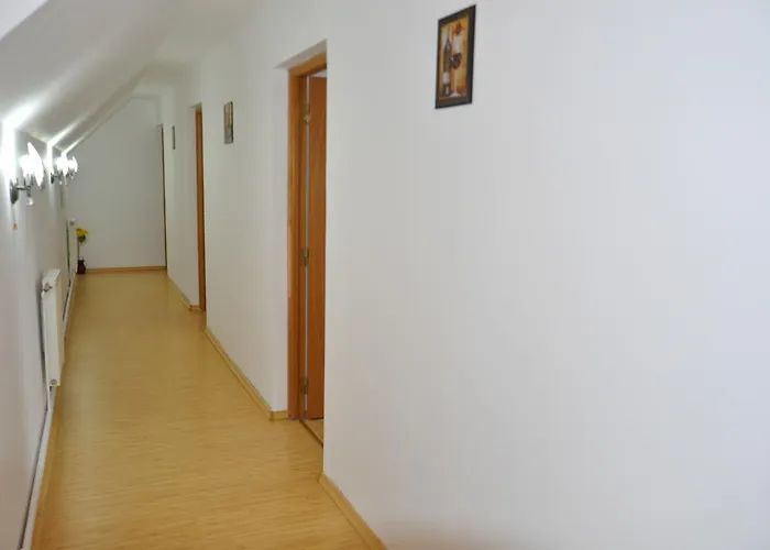 Casa Sabina Hotel Pucioasa