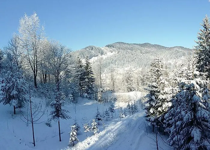 Șoaptele pădurii&Căsuța din pădure Sucevita