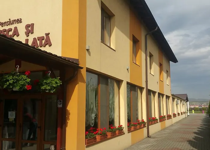 Pensiunea Pusca si Cureaua Lata Turda