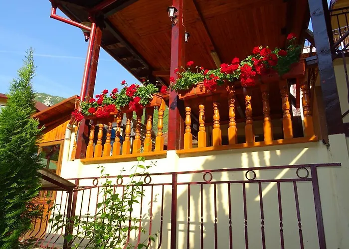 Pension Cuibul Viselor Băile Herculane