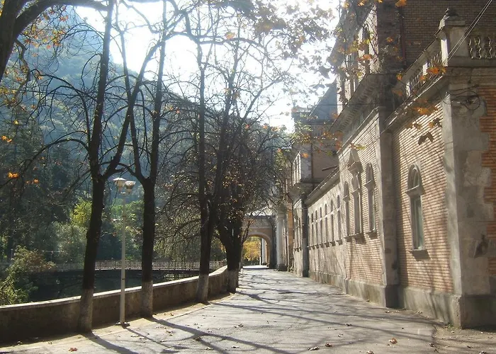 Pensiunea Floare de Colt Băile Herculane