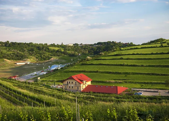 Sarea-n Bucate  Hotel Turda