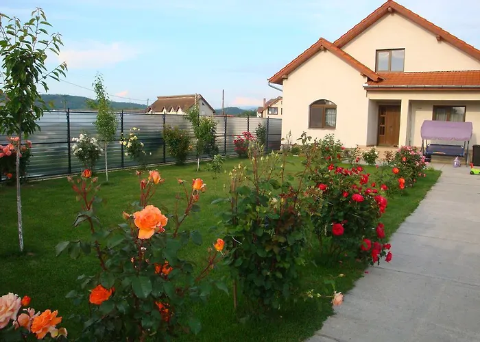 Casa Daria Hotel Haţeg