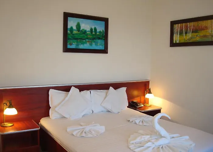 Boutique Hotel Ami Băile Felix