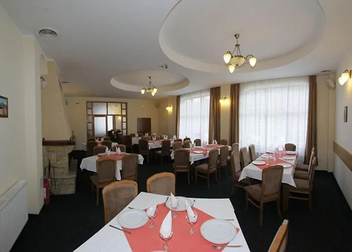 Hotel Paltinis Borşa