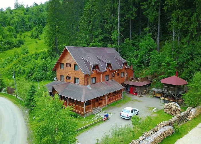 Cabana Ancutei Rucăr