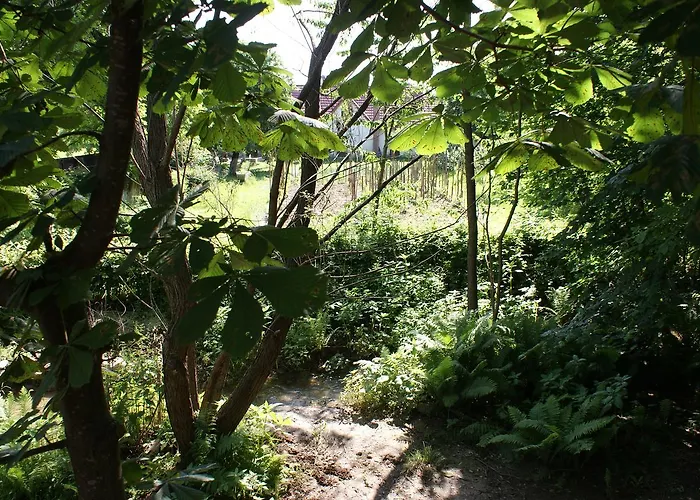 Lodges in Transsylvanië