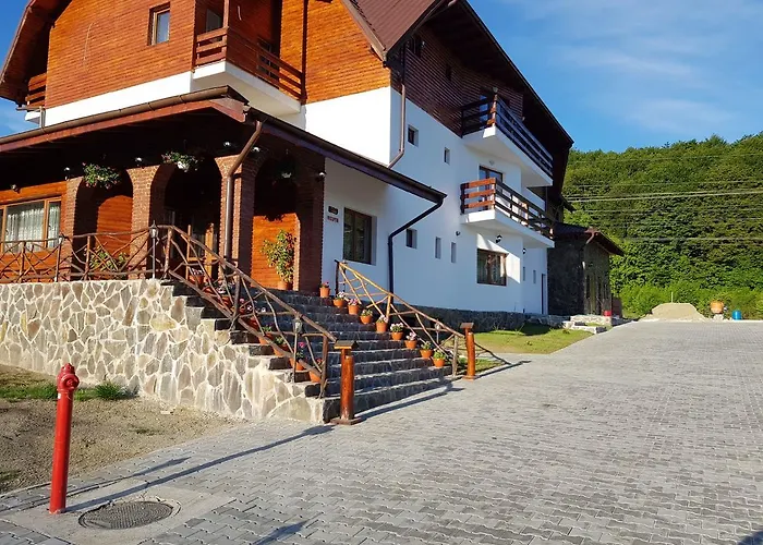 Hanul Patrisiei Cîrţişoara