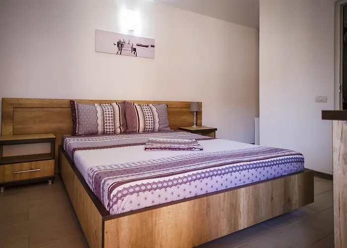 Pensiunea Casa Tudorascu Hotel Vama Veche