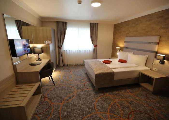 Hotel Baril Haţeg