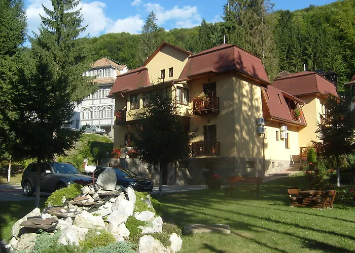 Pensiunea Speranta Sovata