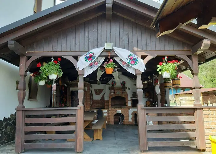 Vila Confort Borşa