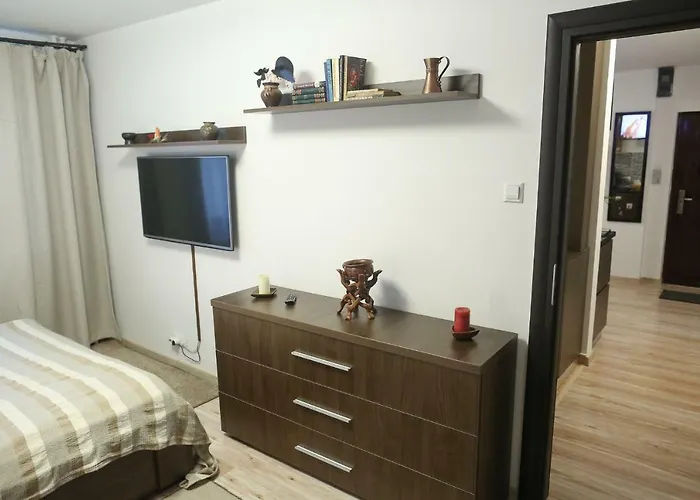 Central Place Apartment Timişoara