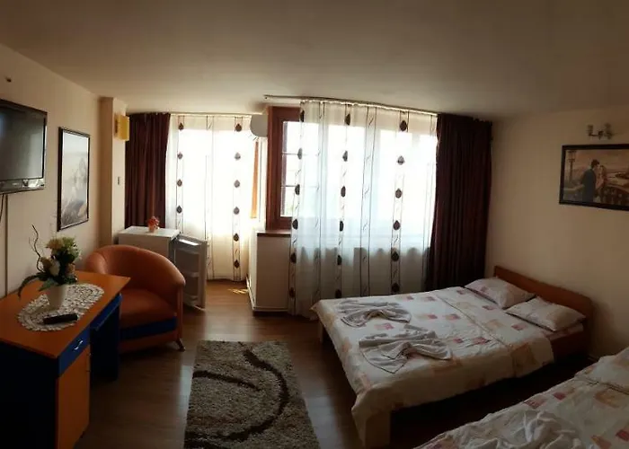 Vila Tei Guesthouse Târgu Jiu