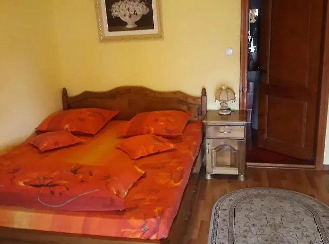 Pensiunea Dalia Săpînţa