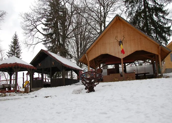 Pet friendly Centrul De Echitatie Poiana Brasov Hotel