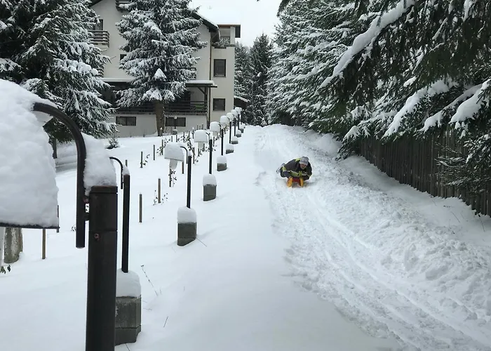 Casa Laur cu plajă privată Hotel Colibiţa